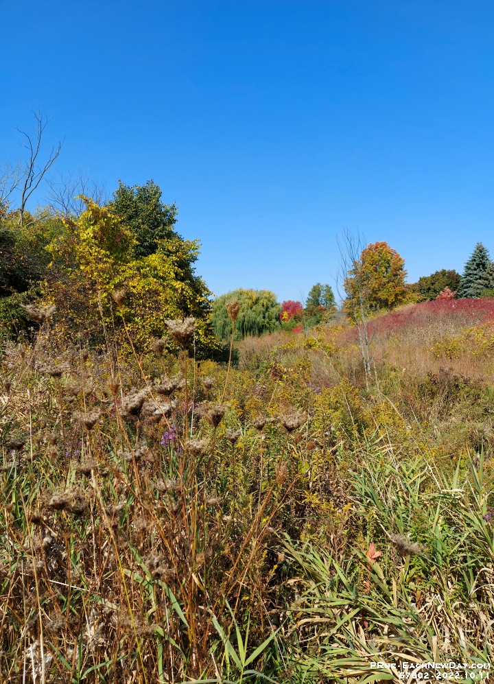 67602CrLeNrUsm - A lovely autumn walk